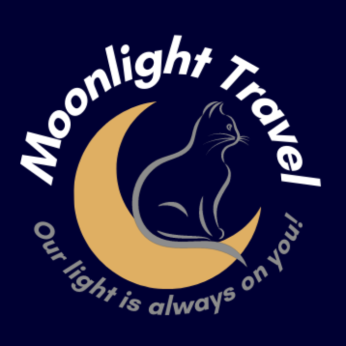 Moonlight Travel